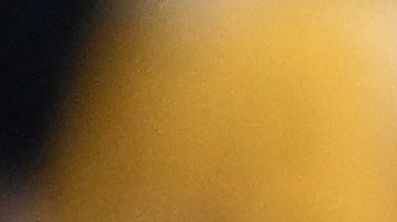 Luis Fernando Suárez.