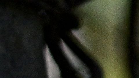 Reportan caso de ameba devoradora de cerebros en Florida tras enjuagarse la nariz con agua del grifo