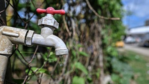 Reportan caso de ameba devoradora de cerebros en Florida tras enjuagarse la nariz con agua del grifo