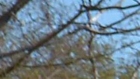 Oposición en México pide apoyo de la DEA en el combate al narcotráfico ante fracaso en seguridad