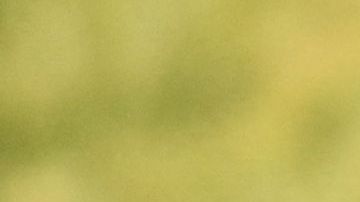 US actress Lea Michele arrives for the world premiere of Universal Pictures' "Knock at the Cabin", at Jazz at Lincoln Centers Frederick P. Rose Hall in New York City on January 30, 2023. (Photo by ANGELA WEISS / AFP) (Photo by ANGELA WEISS/AFP via Getty Images)