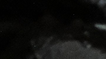 Video muestra emotivo rescate de un perro que permaneció 23 días bajo los escombros del terremoto en Turquía