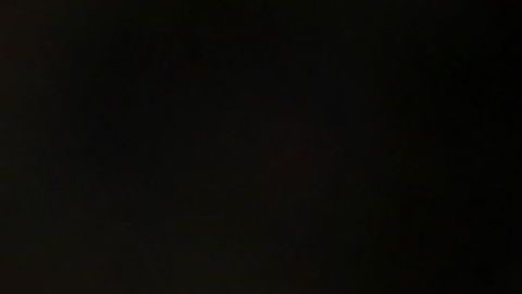 Mono ataca a mujer Oklahoma, le arranca un mechón de cabello y parte de la oreja