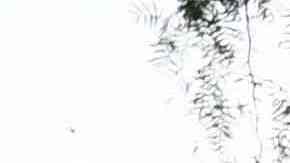 A firefighter and public works crew member look at the damaged hillside from mud flows and a landslide below a home above Mulholland Drive following heavy rain from winter storms on February 28, 2023 in Los Angeles, California. (Photo by Patrick T. Fallon / AFP) (Photo by PATRICK T. FALLON/AFP via Getty Images)