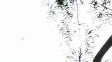 A firefighter and public works crew member look at the damaged hillside from mud flows and a landslide below a home above Mulholland Drive following heavy rain from winter storms on February 28, 2023 in Los Angeles, California. (Photo by Patrick T. Fallon / AFP) (Photo by PATRICK T. FALLON/AFP via Getty Images)
