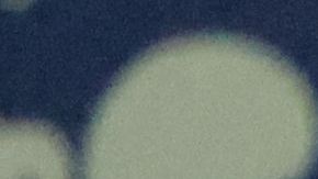 Novak Djokovic durante un torneo en Dubái.