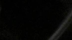 Alexa Grasso somete a Valentina Shevchenko para arrebatarle el campeonato mosca del UFC.