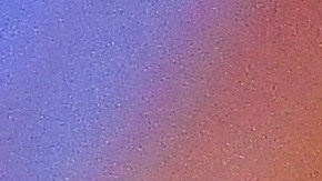 Guillermo Ochoa en un partido de la Salernitana.