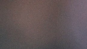 Edson Álvarez, mediocampista mexicano del Ajax.