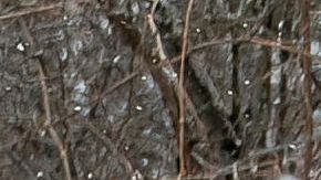 Un oficial habla con migrantes que llegan a Canadá por Roxham Road en Roxham, Quebec.