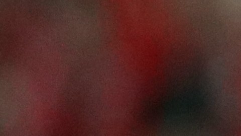 Goncalo Ramos, delantero del Benfica en la Champions League.