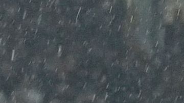 AC Milan en la UEFA Champions League ante el Tottenham.