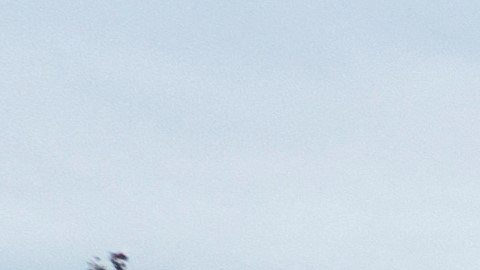 La rotura de un dique causó una gran inundación en la comunidad de Pájaro, en Monterey.