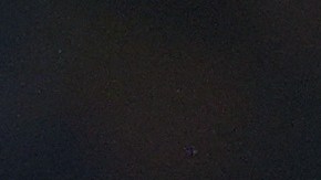 Santiago Giménez celebra un gol con Lutsharel Geertruida.