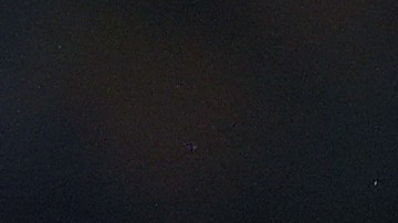 Giménez es una de las grandes figuras de la Eredivisie.