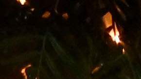 Guillermo del Toro junto a Kim Morgan.