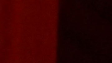 US producer Jonathan Wang (L), winner of the Oscar for Best Picture for "Everything Everywhere All at Once", US director Daniel Kwan (C) and US director Daniel Scheinert (R), winners of the Oscar for Best Director for "Everything Everywhere All at Once", attend the 95th Annual Academy Awards Governors Ball in Hollywood, California on March 12, 2023. (Photo by ANGELA WEISS / AFP) (Photo by ANGELA WEISS/AFP via Getty Images)