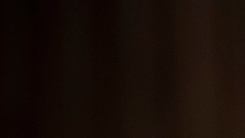 El senador Lindsey Graham presiona para que se nombre a cárteles en México como grupos terroristas.