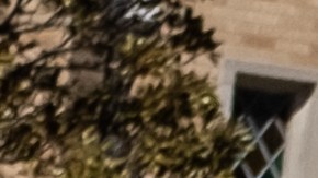 Policía difunde llamadas de auxilio al 911 durante tiroteo en la escuela de Nashville