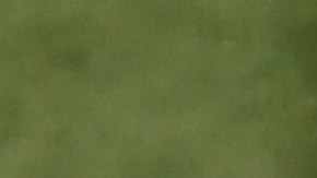 Daniil Medvedev participará el torneo con bandera blanca.