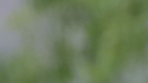 El Vaticano confirma que el Papa Francisco presenta infección respiratoria por lo que permanecerá hospitalizado