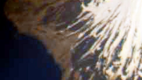 Autoridades advierten de posible erupción del volcán de Alaska tras registro de terremotos en la zona