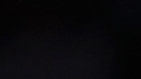 Toscano ganó un título con Golden State.