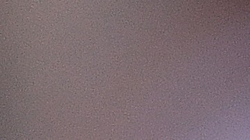 Gary Lineker, exfutbolista.