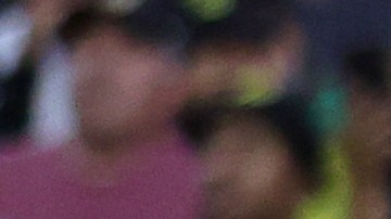 Aficionados Club América.