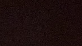 Ricardo Pepi con la Selección de Estados Unidos.