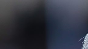 López Obrador y García Luna