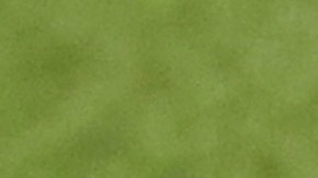 Casemiro y Vinicius, compañeros de selección.