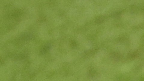 Casemiro y Vinicius, compañeros de selección.
