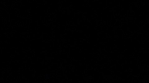 LOS ANGELES, CALIFORNIA - DECEMBER 01: A person holds a candle during a World AIDS Day commemoration event at The Wall Las Memorias AIDS Monument on December 1, 2022 in Los Angeles, California. The Biden administration today released a five-year strategy to end the HIV/AIDS epidemic worldwide by the year 2030. (Photo by Mario Tama/Getty Images)