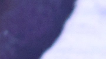 NEW YORK, NEW YORK - DECEMBER 11: Tenoch Huerta speaks onstage during the 16th annual CNN Heroes: An All-Star Tribute at the American Museum of Natural History on December 11, 2022 in New York City. (Photo by Michael Loccisano/Getty Images for CNN)