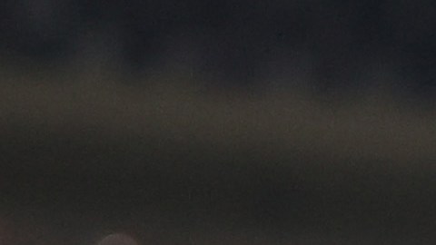 Los 26 jugadores de Qatar están convocados.