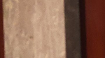 Comité de ética de la Cámara abre investigación contra el republicano George Santos por mentir