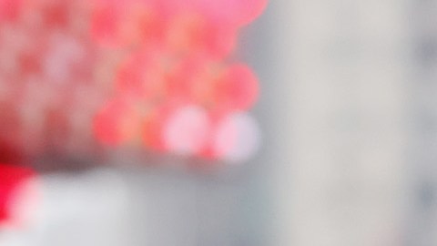 Conoce las 20 consultas más insólitas hechas al Servicio de Información de Nueva York