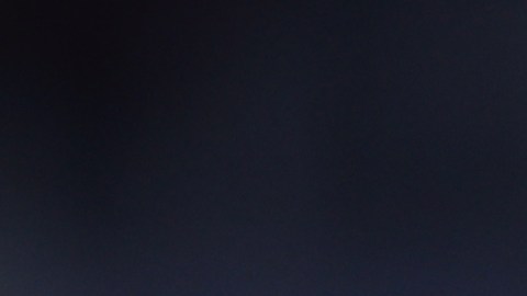 Alejandro Zendejas durante un partido del Club América en la Liga MX.