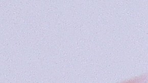 Zendejas ha aceptado los llamados de la USMNT.