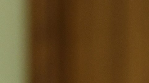 Maxwell Alejandro Frost es el congresista más joven en EE.UU.