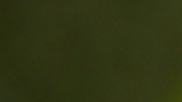 PHOENIX, ARIZONA - FEBRUARY 11: Shaq attends Michelob Ultra & Netflix “Full Swing” Premiere & Super Bowl After Party on February 11, 2023 in Phoenix, Arizona. (Photo by Daniel Boczarski/Getty Images for Michelob ULTRA)