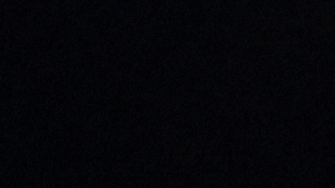 Mike Pence sostiene que cumplió con su deber patriótico al respetar la democracia