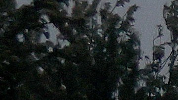 LOS ANGELES, CALIFORNIA - FEBRUARY 24: Vehicles drive through winter storm rains on Interstate 5 on February 24, 2023 in Los Angeles, California. A major storm, carrying a rare blizzard warning for parts of Southern California, has begun to deliver heavy snowfall to the mountains with some snowfall expected to reach lower elevations in Los Angeles County. Los Angeles is also seeing widespread heavy rains from the storm. (Photo by Mario Tama/Getty Images)