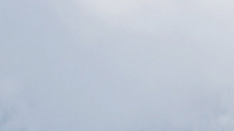Copiosas nevadas han blanqueado las montañas en California.