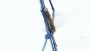 CRESTLINE, CALIFORNIA - MARCH 03: An aerial view of residents (L) waiting in line to receive donated food outside the local grocery store (R), which was severely damaged when its roof collapsed under the weight of several feet of snow, after a series of winter storms in the San Bernardino Mountains in Southern California on March 3, 2023 in Crestline, California. Some residents have been stranded in Crestline more than a week due to heavy snowfall while the grocery store was the main hub for food purchases in town. California Governor Gavin Newsom has declared a state of emergency due to winter storms for 13 counties including San Bernardino County and the California National Guard is assisting relief efforts in the mountains. (Photo by Mario Tama/Getty Images)