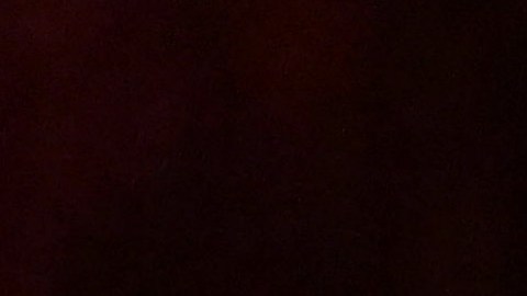 Del Toro ganó por Mejor Película Animada.