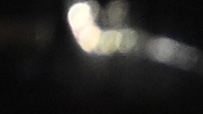 Mike Trout celebrando un cuadrangular en la victoria de USA ante Canadá.