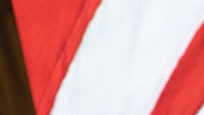 Los padres de Vivek Ramaswamy son originarios de la India.