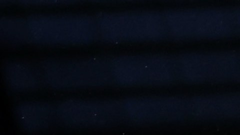 Halaand es uno de los delanteros más temidos del mundo.